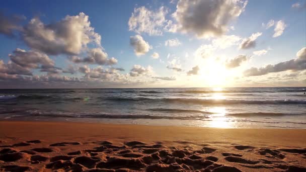 Egzotycznej plaży — Wideo stockowe