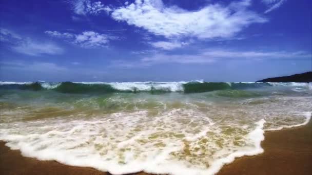 Экзотический песчаный пляж — стоковое видео