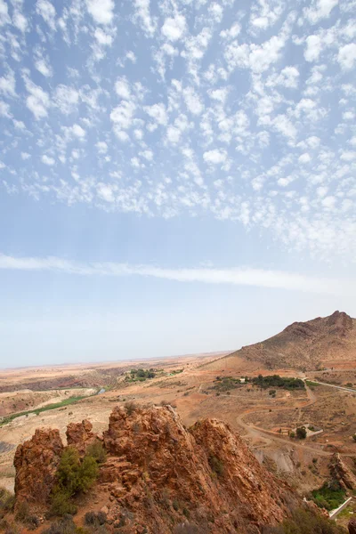 Deserto — Foto Stock