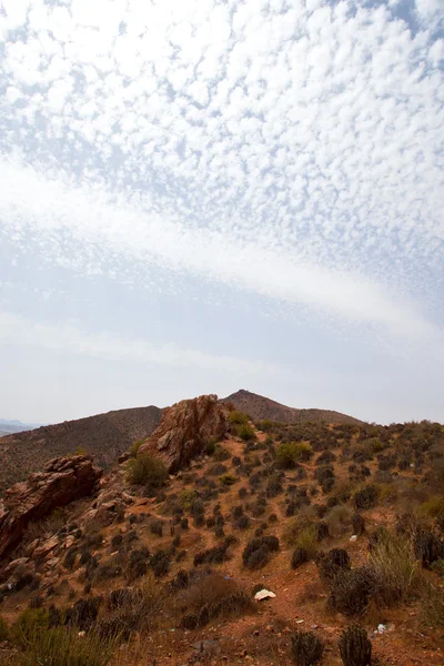 Deserto — Foto Stock