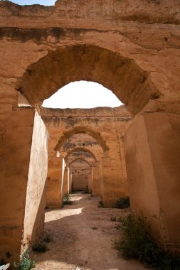 fez, Fas şehir merkezinde gecekondu