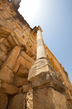 Volubilis Roma eski şehir, morocco