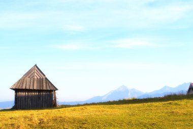 geleneksel ev Zakopane - Polonya