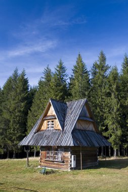 geleneksel ev Zakopane - Polonya