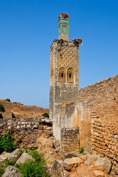Starého města Volubilis, Maroko — Stock fotografie