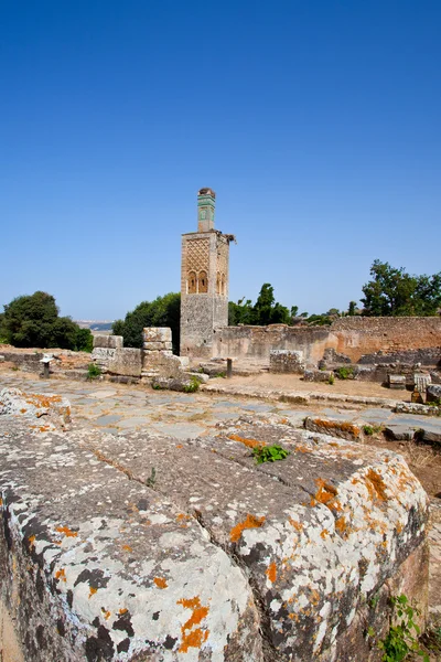 Volubilis Ciudad vieja romana, Marruecos — Foto de Stock