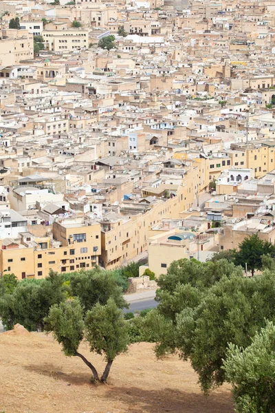 Vue sur la médina de Fès. Vieille ville de Fès. Maroc — Photo