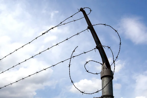 Lines of barbed wire — Stock Photo, Image