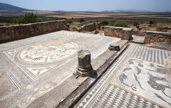 Volubilis romersk gamla stad, Marocko — Stockfoto