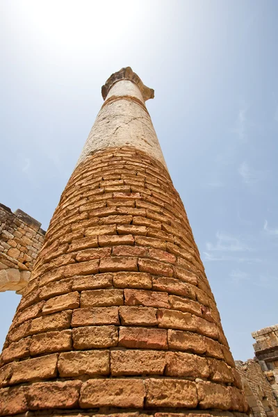 Very high tower — Stock Photo, Image