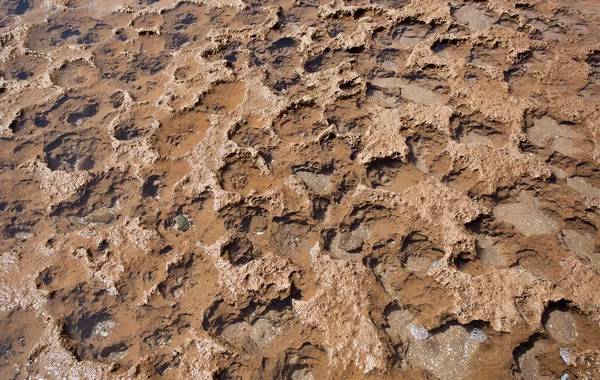 Struttura del terreno — Foto Stock