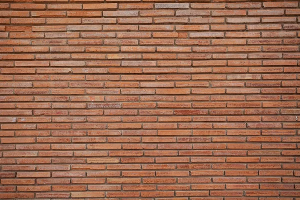 Muro de ladrillo sólido — Foto de Stock