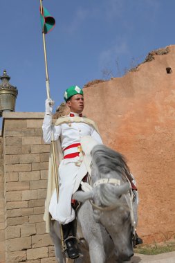 Arap hors Kraliyet Atlı bekçi