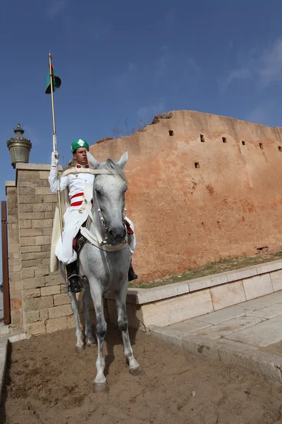 Guardia montada real en cuernos árabes — Foto de Stock