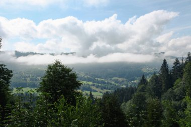 Ormanlı, Polonya ve Avrupa 'lı dağların manzarası