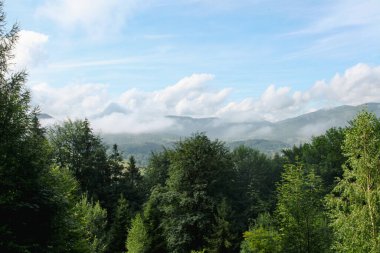 Ormanlı, Polonya ve Avrupa 'lı dağların manzarası
