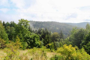 Ormanlı, Polonya ve Avrupa 'lı dağların manzarası