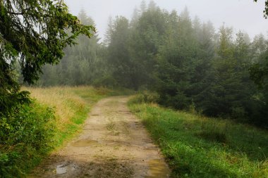 Ormanlı, Polonya ve Avrupa 'lı dağların manzarası