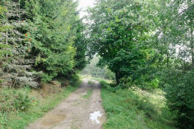 Ormanlı, Polonya ve Avrupa 'lı dağların manzarası
