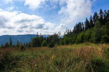 Ormanlı, Polonya ve Avrupa 'lı dağların manzarası