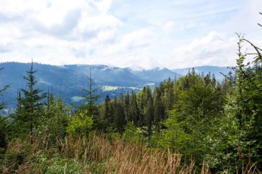 Ormanlı, Polonya ve Avrupa 'lı dağların manzarası