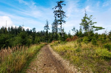 Ormanlı, Polonya ve Avrupa 'lı dağların manzarası