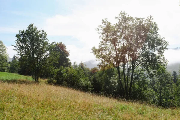 Berglandschaft Mit Wald Polen Europa — Stockfoto