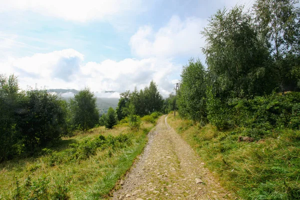 Paesaggio Montagne Con Foresta Polonia Europa — Foto Stock