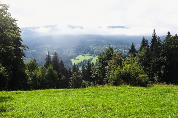 Berglandschaft Mit Wald Polen Europa — Stockfoto