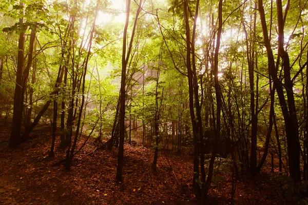 ポーランド ヨーロッパと山の風景 — ストック写真