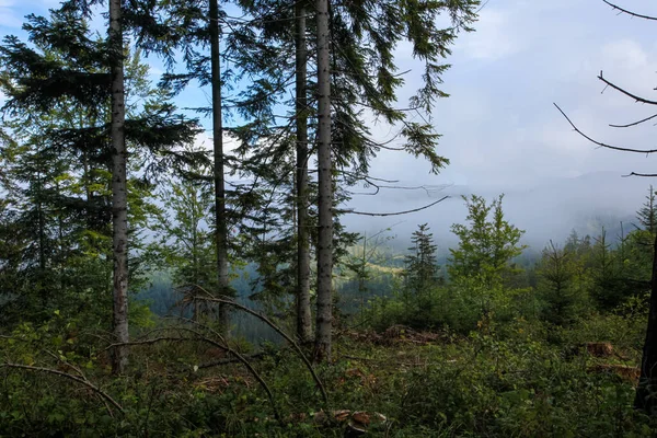 Paisaje Montañas Con Bosque Polonia Europa —  Fotos de Stock