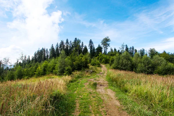 Berglandschaft Mit Wald Polen Europa — Stockfoto