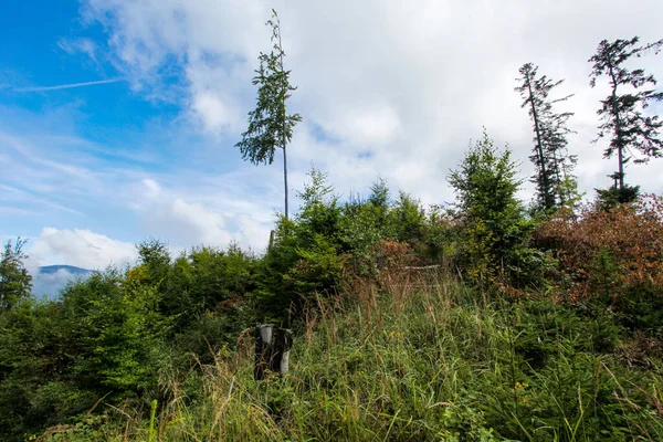 Paisagem Montanhas Com Floresta Polônia Europa — Fotografia de Stock