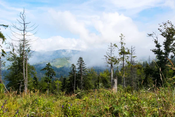 Paisagem Montanhas Com Floresta Polônia Europa — Fotografia de Stock