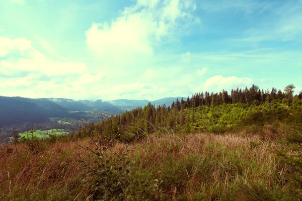 Landscape Mountains Forest Poland Europe — Stock Photo, Image