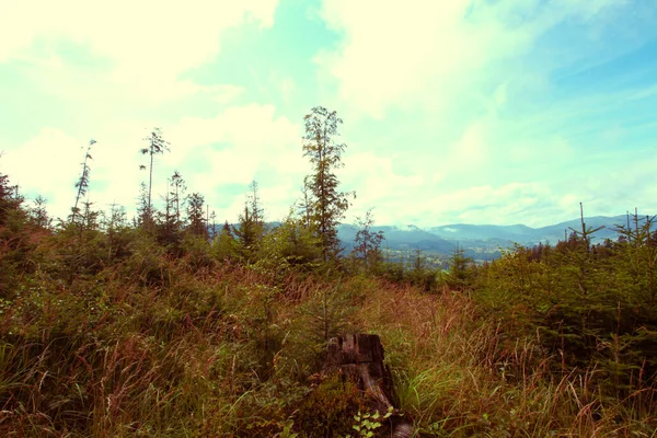 Paesaggio Montagne Con Foresta Polonia Europa — Foto Stock