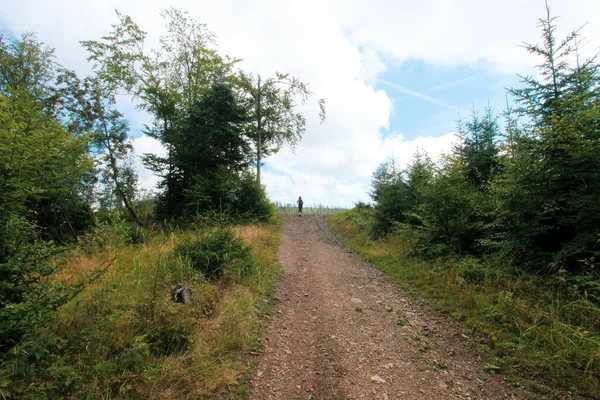 Landschap Van Bergen Met Bos Polen Europa — Stockfoto