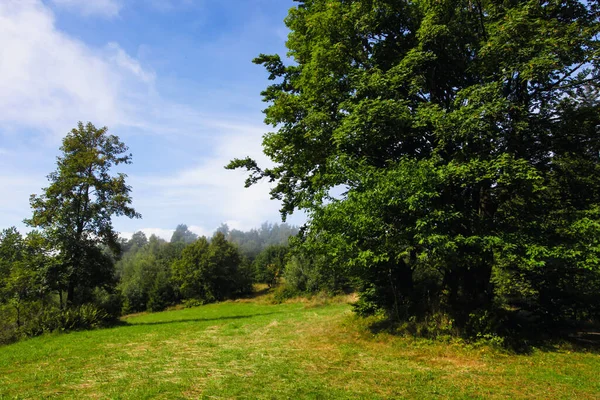 Landscape Mountains Forest Poland Europe Stock Photo