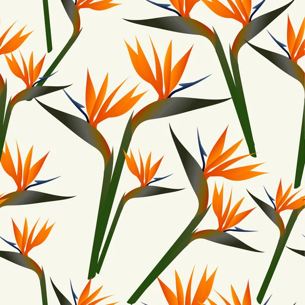Paradise bird flower pattern — Stock Vector