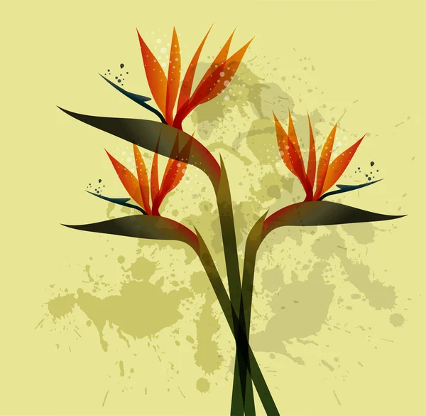 Bird of Paradise flower over grunge background — Stock Vector