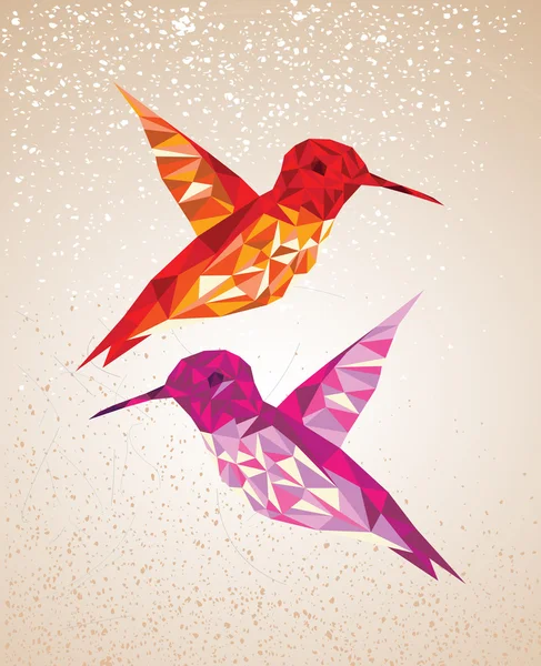 Colorful humming birds illustration. — Stock Vector