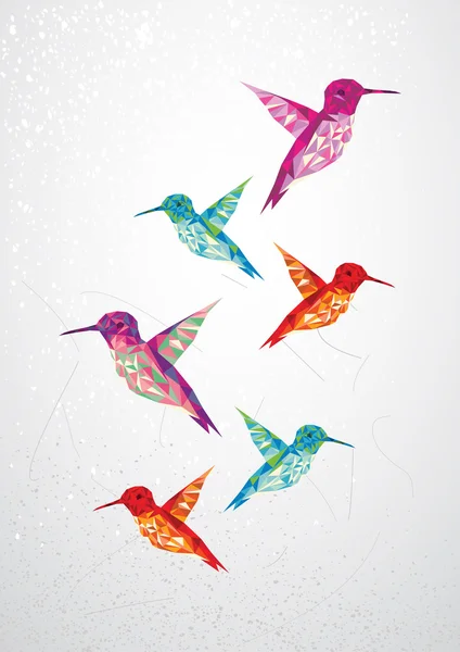 Belle illustration d'oiseaux colibris . — Image vectorielle