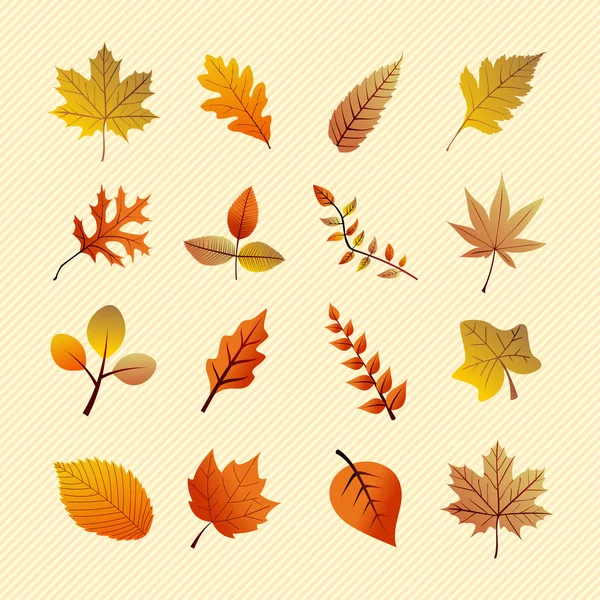 Vintage autumn season tree leaves set. EPS10 file. — Stock Vector