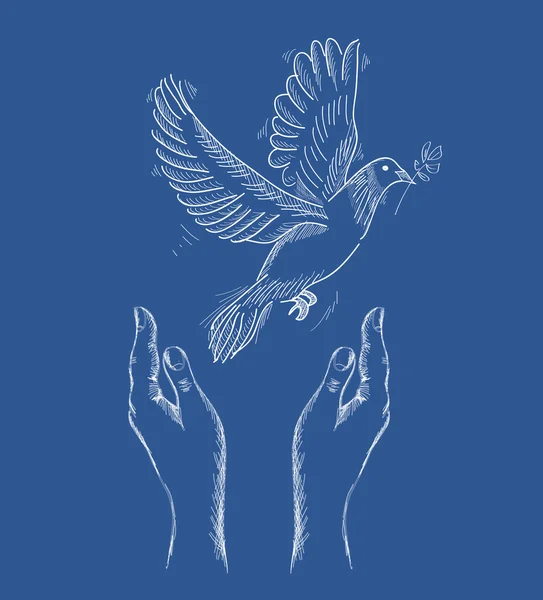 Lidské ruce a soubor eps10 ilustrace holubice míru. — Stockový vektor