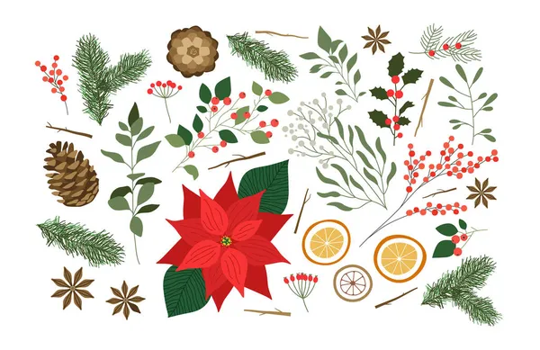 Ensemble Illustration Décoration Nature Noël Plante Hiver Dessinée Main Sur — Image vectorielle