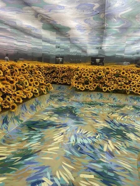 Van Gogh Alive Έκθεση Brisbane Queensland — Φωτογραφία Αρχείου