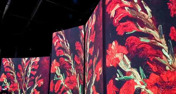 Van Gogh Alive Exhibition Brisbane Queensland — Stok Foto