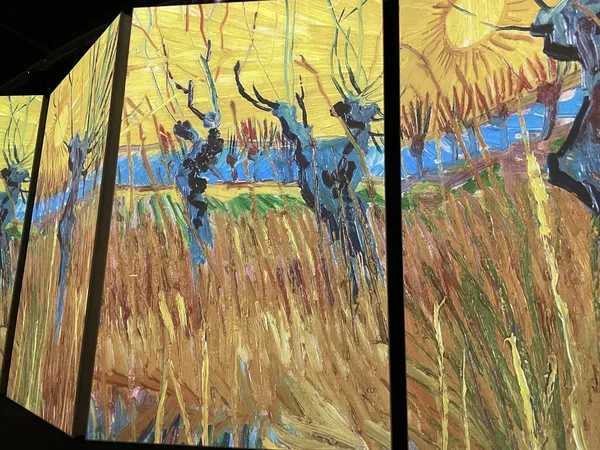 Van Gogh Alive Exhibition Brisbane Queensland — Stock Photo, Image