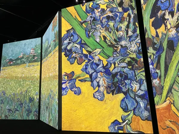 Van Gogh Levende Tentoonstelling Brisbane Queensland — Stockfoto