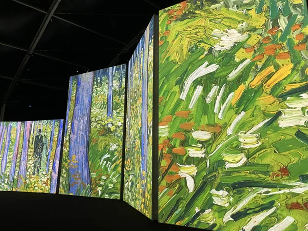 Van Gogh Żyje Wystawa Brisbane Queensland — Zdjęcie stockowe